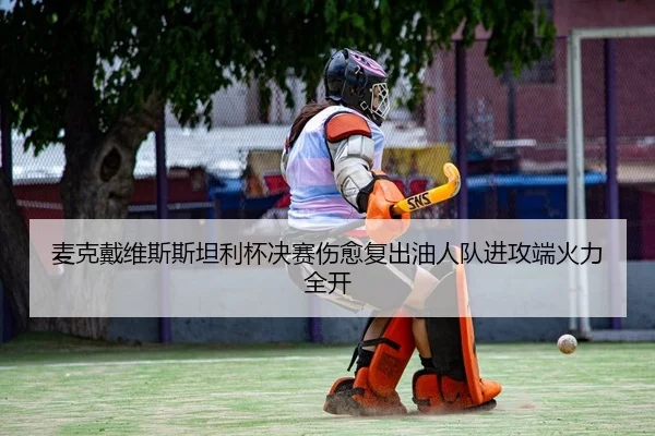 麦克戴维斯斯坦利杯决赛伤愈复出油人队进攻端火力全开